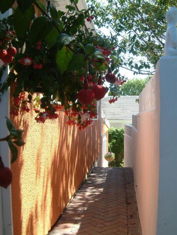Grockle Nook Holiday Apartment Brixham Exteriör bild